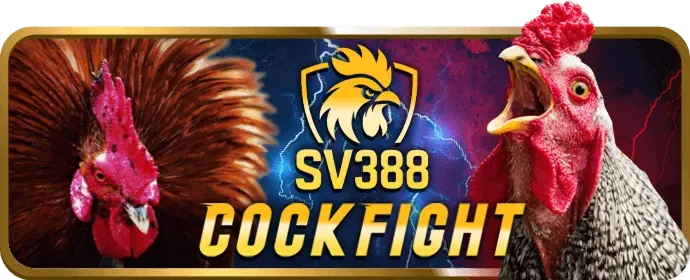 Cá cược thể thao J888